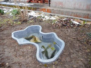 完成した池