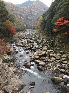image2_r
