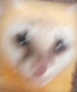 DSCN0