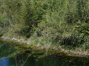 DSCN1510_R
