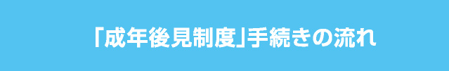 「成年後見制度」手続きの流れ